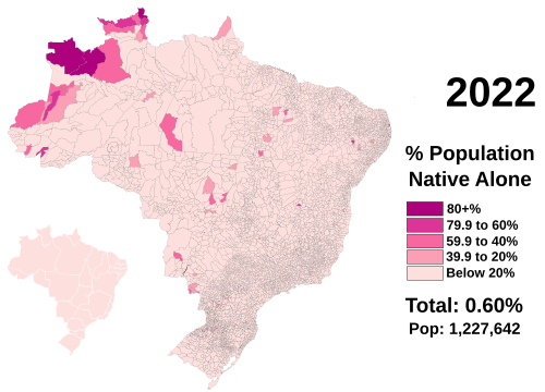 Indigenous peoples in Brazil